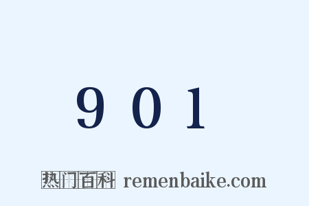 901是什么意思的图片